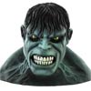 Incredible Hulk Movie Deluxe Adult Mask