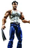Wolverine Action Figure Assortment Case 200904
