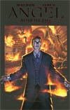Angel After The Fall Vol 2 First Night TP