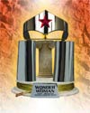 JLA Trophy Room Wonder Woman Tiara Bracelets And Lasso Prop Replica
