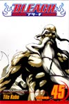 Bleach Vol 45 TP