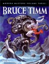 Modern Masters Vol 3 Bruce Timm SC 5th Ptg