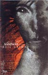 Sandman Slipcase Set