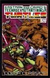 Teenage Mutant Ninja Turtles Color Classics #6
