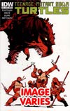 Teenage Mutant Ninja Turtles Vol 5 #16 Regular Cover (Filled Randomly With 1 Of 2 Covers)