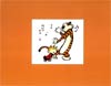 Complete Calvin & Hobbes SC Slipcase Edition