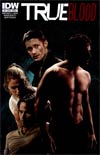 True Blood Vol 2 #4 Regular Cover A Tim Bradstreet