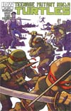 Teenage Mutant Ninja Turtles Vol 5 #14 Incentive Ramon Perez Variant Cover