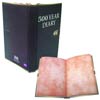Doctor Who Journal - 500-Year Diary