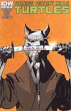 Teenage Mutant Ninja Turtles Vol 5 #14 Regular Cover A Andy Kuhn