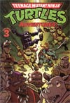 Teenage Mutant Ninja Turtles Adventures Vol 3 TP