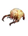 Half-Life Head Crab Plush