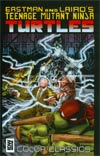 Teenage Mutant Ninja Turtles Color Classics #9