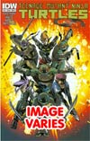 Teenage Mutant Ninja Turtles Vol 5 #19 1st Ptg Regular Cover (Filled Randomly With 1 Of 2 Covers)