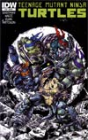 Teenage Mutant Ninja Turtles Vol 5 #16 Incentive Ross Campbell Variant Cover