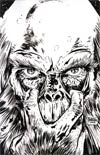 Planet Of The Apes Cataclysm #4 Incentive Gabriel Hardman Virgin Sketch Cover