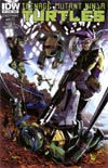Teenage Mutant Ninja Turtles Vol 5 #17 Regular Cover A Ben Bates