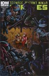Teenage Mutant Ninja Turtles Vol 5 #17 Regular Cover B Kevin Eastman