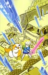 Adventure Time Fionna & Cake #1 Incentive Ethan Rilly Virgin Variant Cover