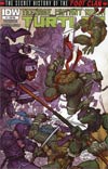 Teenage Mutant Ninja Turtles Secret History Of The Foot Clan #1 Incentive Rafael Grampa Variant Cover
