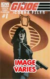 GI Joe Cobra Files #1 Regular Cover (Filled Randomly With 1 Of 2 Covers)