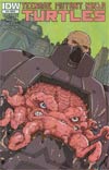 Teenage Mutant Ninja Turtles Vol 5 #19 Incentive Nick Pitarra Variant Cover