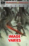 Dungeons & Dragons Cutter #2 (Filled Randomly With 1 Of 2 Covers)