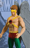 Showcase Presents Series 1 Hawkman Action Figure