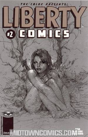 Liberty Comics A CBLDF Benefit Book #2 Incentive Jim Lee Variant Cover