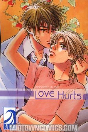 Love Hurts Aishiatteru Futari GN