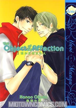 Object Of My Affection GN