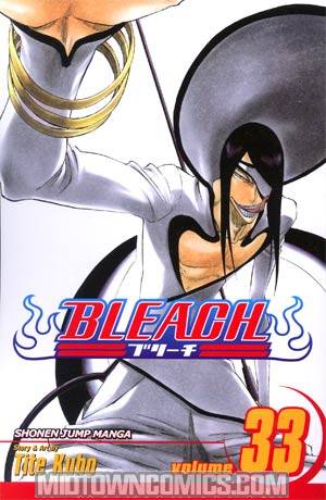 Bleach Vol 33 TP