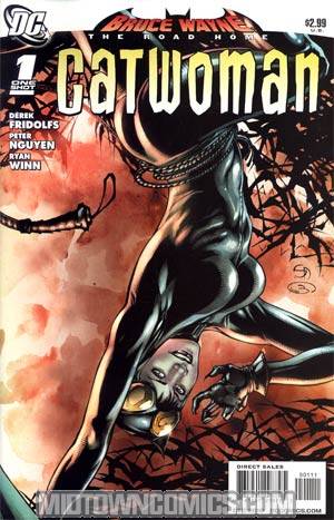 Bruce Wayne The Road Home Catwoman #1