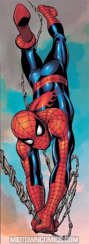 Spider-Man Door Poster