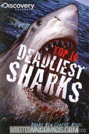 Top 10 Deadliest Sharks TP