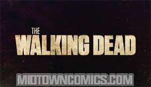 Walking Dead Trading Cards Box