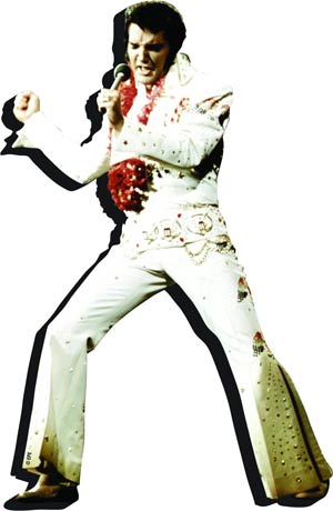 Elvis Presley Funky Chunky Magnet - Hawaii