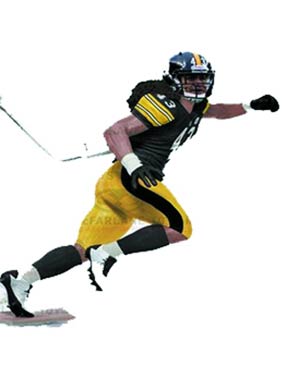 McFarlanes Sports Picks NFL Series 29 Troy Polamalu Action Figure Case