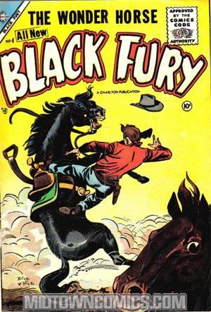 Black Fury #4