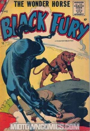 Black Fury #8