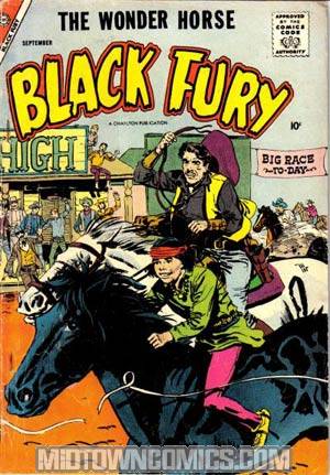 Black Fury #15