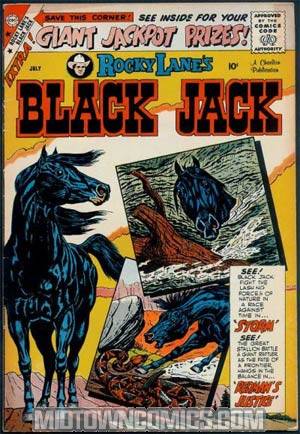 Black Jack #28