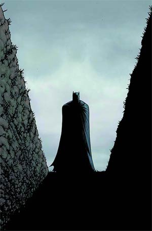 Batman Incorporated Vol 2 #9 Regular Chris Burnham Cover