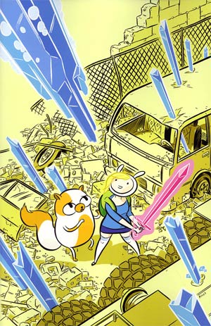 Adventure Time Fionna & Cake #1 Cover C Incentive Ethan Rilly Virgin Variant Cover