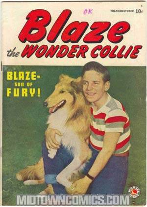 Blaze The Wonder Collie #2