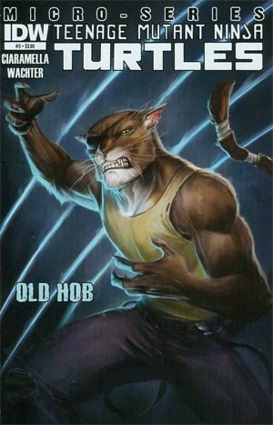 Teenage Mutant Ninja Turtles Villain Micro-Series #3 Old Hob Cover A Regular Tyler Walpole Cover