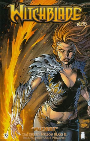 Witchblade #165 Cover B Diego Bernard & Fred Benes