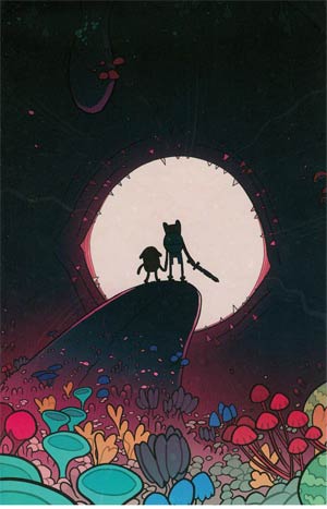 Adventure Time #17 Cover C Incentive Jemma Salume Virgin Variant Cover