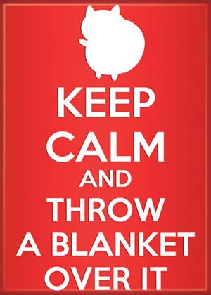 Bravest Warriors 2.5x3.5-inch Magnet - Keep Calm Catbug (21097BW)