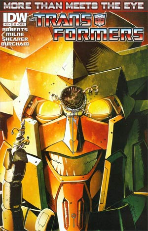 Transformers More Than Meets The Eye #20 Cover B Regular Nick Roche Cover